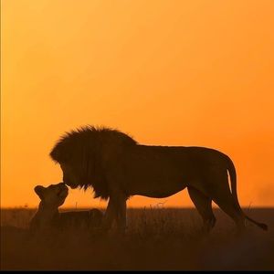 Meet your Posher, Sha